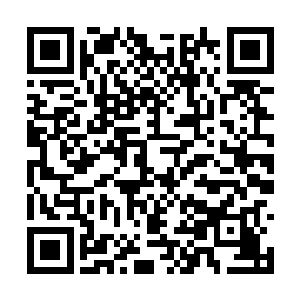 原本万无一失的夺舍行动竟然会冒出这么一个变数二维码生成