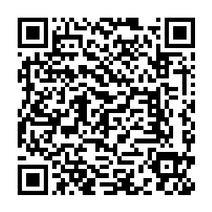 原本只是希望徐家能有博学之人帮忙翻译一下叶璃让人送回来的东西二维码生成