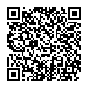 原本在他眼里有着无比吸引力的老板娘和眼前的这个臊娘们比起来二维码生成