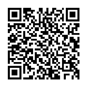 原本汇集在这里商讨圣弃界的众多圣皇强者也暂时的终止了会议二维码生成