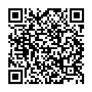 原本金王星几乎是可以将赖皮蛇这次的攻击给抵消掉的二维码生成