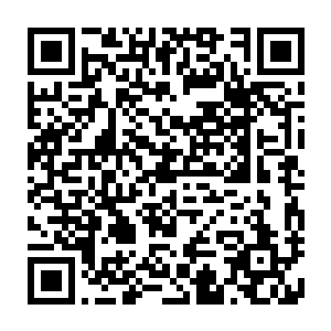 原来这些金甲卫与银甲卫都是陨落在通天古路内修士魂魄形成的机关傀儡二维码生成