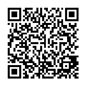 反正以你的实力就算侥幸通过海选也会在模拟实战中被虐得更惨二维码生成