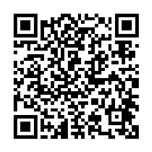 反纳粹反希特勒可以说是最最基本的政治正确和价值取向之一二维码生成