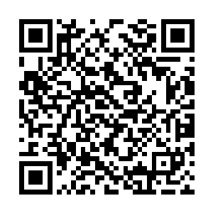 另一只手从系于腰间的小兜囊中抓出三头红爪黑鼠二维码生成