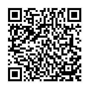 另外两个元极境大成以及元极境小成剑者纷纷从剑楼之内出现二维码生成