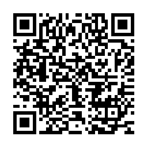只不过是一些因为刘宇法力没有完全用尽而衍生出的无数的冰丝二维码生成