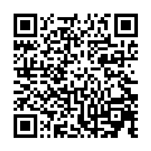 只剩下光溜溜的建筑和满地被吞噬的只剩残渣的可怜模样二维码生成