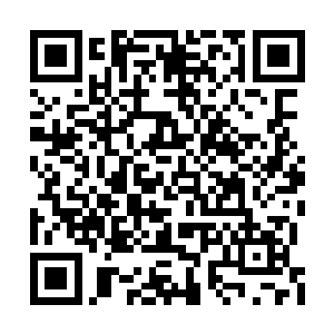 只希望自己脆弱的样子能够让他们有一点点怜惜二维码生成