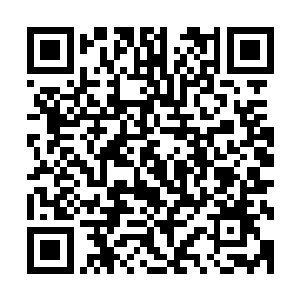 只感随着那点点绿色无尽成长其饱含的先天罡气也会持续增加二维码生成