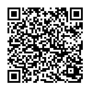 只是一个基本完成了从文艺电影到商业电影的转型的普通导演或许有点委屈二维码生成