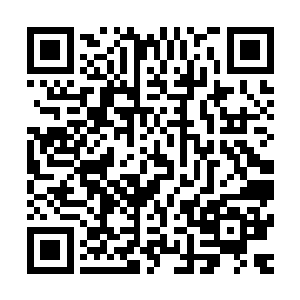 只是不知道当皇帝的感觉是怎么样的……他们怎么把我当皇帝二维码生成