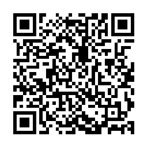 只是从这一场拍卖会就可以看出太虚宗如今在整个仙界的影响二维码生成