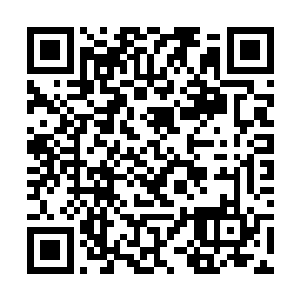 只是因为想提醒那群已经成为佣兵团大干部的混蛋们二维码生成