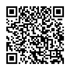 只是小侄认为或许那周公瑾做是看中了叔叔一心只想死守寿春城二维码生成