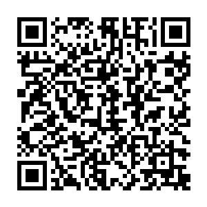 只是此刻的小竹林不再是仙气缭绕的通天福地反而黑气滚滚形似地狱一般二维码生成