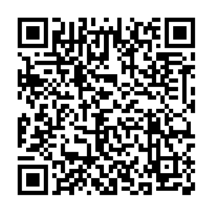 只是那六十万变异兽本源之力形成的攻击洪流进入到黑色雾气当中二维码生成