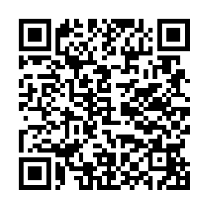 只有万公公和禁军副统领和几名侍卫跟着齐浩然他们进宫二维码生成