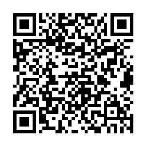 只有最优秀的子弟才能去会面的族长以及那些核心长老二维码生成