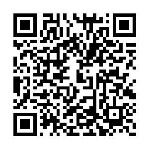 只有自己能够将后背放心的交给值得信任的队友二维码生成