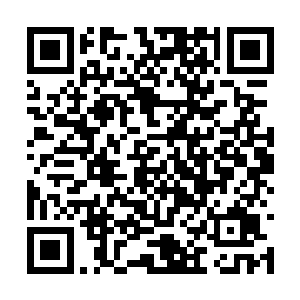 只有进阶无望的修士才会把精力用在宗门的管理上二维码生成