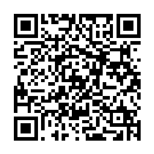 只有那个人族怀里的四尾狐狸的双目中却是充满了灵动二维码生成