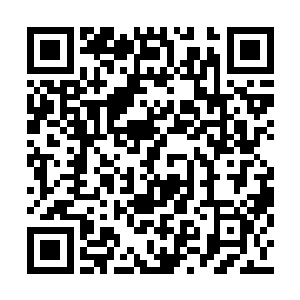 只有龙家的人才知道龙傲云没有受伤的真正原因二维码生成