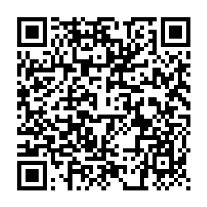 只要一有空暇时间我都会关联上追踪白云中和王浩文的可隐身纸人二维码生成