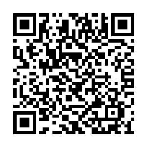 只要他们没有看到我们的踪迹就可以逃离小岛了二维码生成