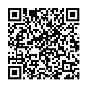 只见他拳头上的伤口已经在以肉眼可见的速度愈合着二维码生成