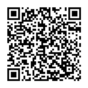 只见原本还在狂奔之中的血色的傀儡和四具阴尸竟然诡异的停在原地二维码生成