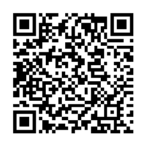 只见有一团黑漆漆的东西正从顺子的脖子中长了出来二维码生成