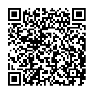 只见远门前的十几个侍卫忽然先遇上什么凶险一样惊慌失措纷纷逃入院中二维码生成