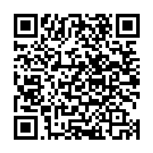 只觉得在峰下的那些其他峰中的弟子都在笑话他们万法峰二维码生成