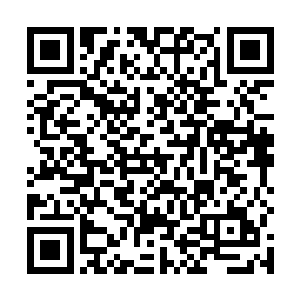 只需六名炼虚后期修士同时灌注法力在六个不同的阵眼二维码生成