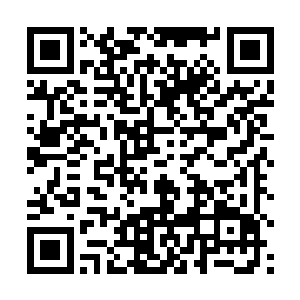 只需要拿出技能说明中提到的消耗物就可以立即召出来二维码生成