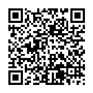 可不可以和我分享一下你的任务过程……你知道的二维码生成