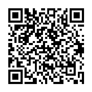 可他们神识扫过整个灵界却是没有发现任何强大的存在二维码生成