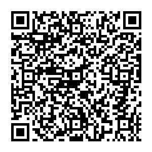 可以冷静地待他们倾家荡产但我没办法对人的性命或者间接地下手……我只是一个普通的商人二维码生成