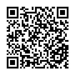 可就是没办法像信任荣光那样无条件的信任伊布拉希莫维奇二维码生成