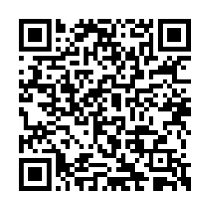 可是围观的这些王公大臣们可都比苏落激动多啦二维码生成