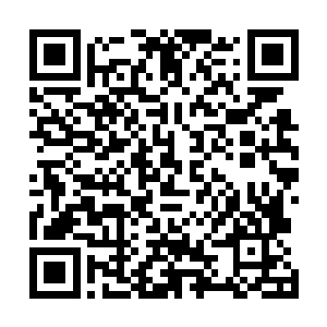 可等我想到唐晓柔可能骗我然后跑了就吓的马上坐了起来二维码生成