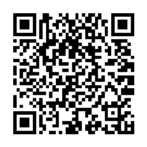叶秋也不管楚宁搂着迪飞两人在商量明天怎么搞定秦旭他们二维码生成