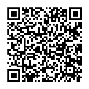 各类最基本的食材资源是维系一座城市高质量生活生产水准的必要保障二维码生成