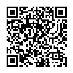 同一个办公室的职员看见老总爱子来了连忙装作忙碌的样子二维码生成