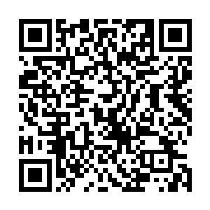 同时他那破损的基因链也仿佛受到了某种力量的约束和恢复二维码生成