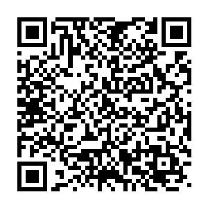 否则在与扎罗夫的第二次较量中他也不必杀死对方放出的三条狗了二维码生成