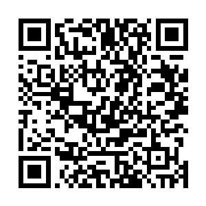 否则等着一会苏凡相信紫玲珑的笛声肯定会起一定的作用二维码生成