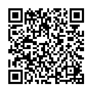 听了教皇的话之后龙傲天也笑了笑然后将目光放入了战场中二维码生成