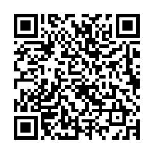 听说青柳把朱家从带去海外的一本古代的刀术修习法门传给了他二维码生成